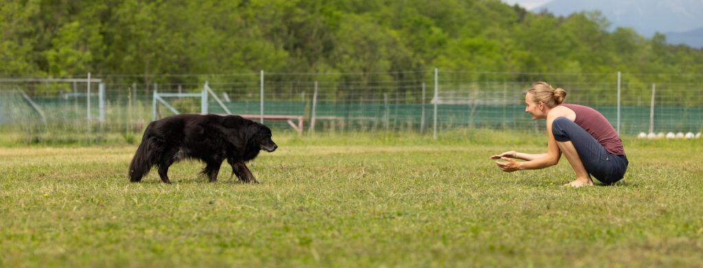 Wir kommunikzieren auf Augenhöhe - mit Hund UND Mensch!